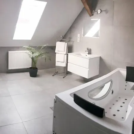 3kk 80 M2 S Virivkou A Saunou * Jihlava