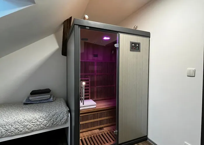 Wellness Apartman 3Kk S Virivkou A Saunou * Jihlava
